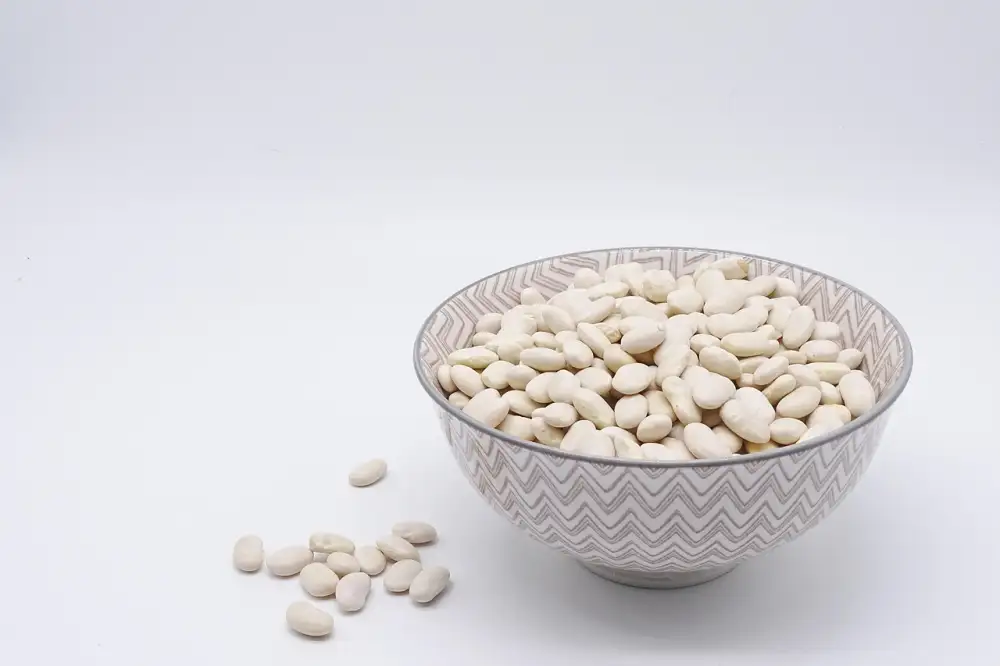 Protein Matrix