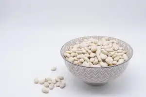 Protein Matrix